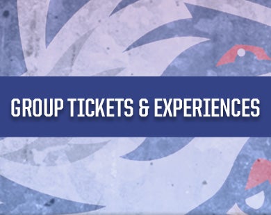 Hartford Wolf Pack graphic relating to Ny Rangers Printable Schedule identify Hartford Wolf Pack