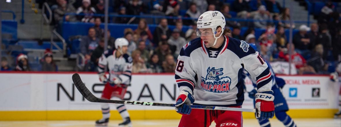 WOLF PACK RECALL D ZACH BERZOLLA FROM LOAN TO CINCINNATI CYCLONES