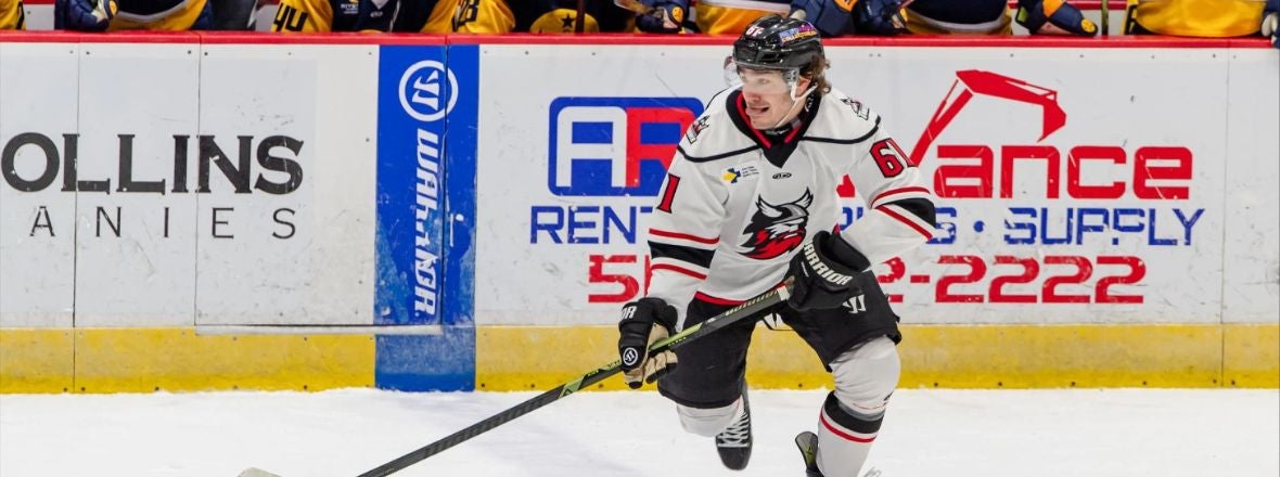 HARTFORD WOLF PACK INK F BRIAN CARRABES TO PTO