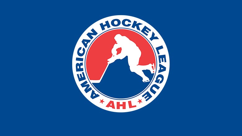 80's Hershey Bears CCM Minor League AHL Jersey Size 44 Large