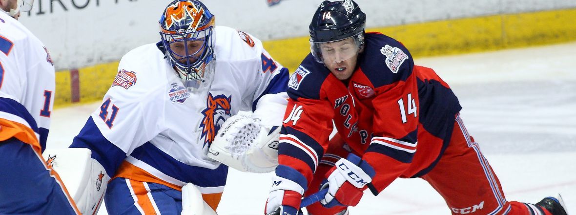 Sound Tigers Nip Wolf Pack