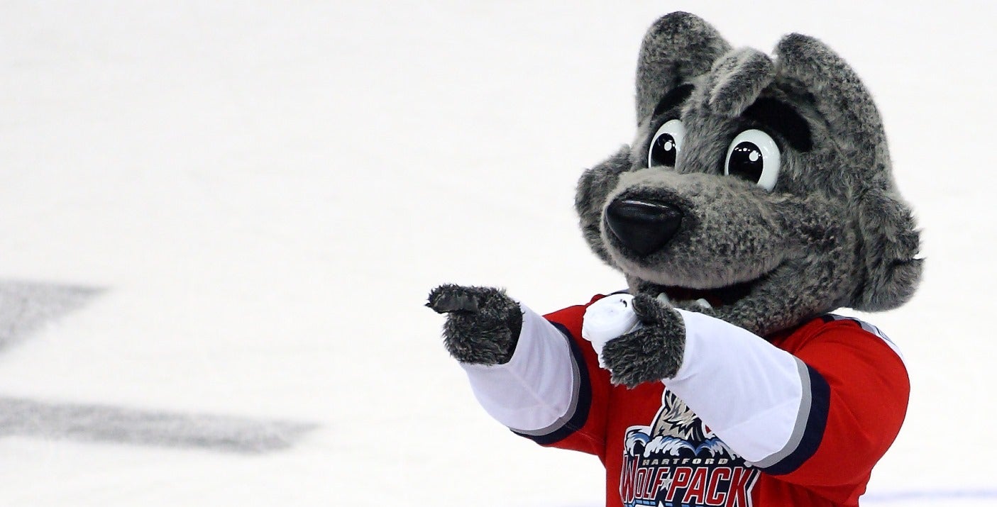 All Star Dogs: Charlotte Checkers Pet Products