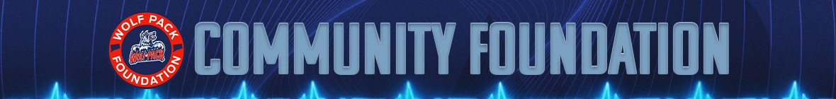 Community Foundation_Skinny Banner.png