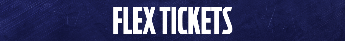 Flex_Skinny Banners_1180x140.png