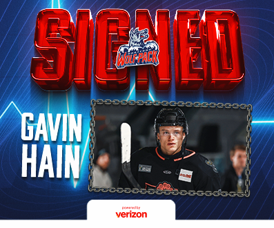 Gavin Hain_SWIDGET.png