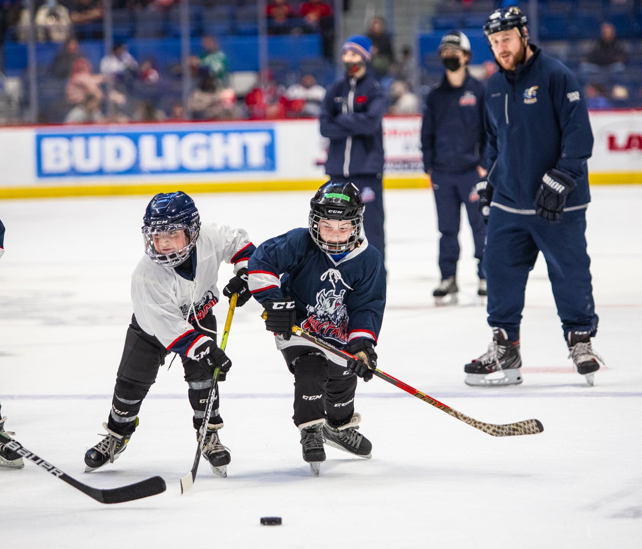 Intermission Skate.jpg