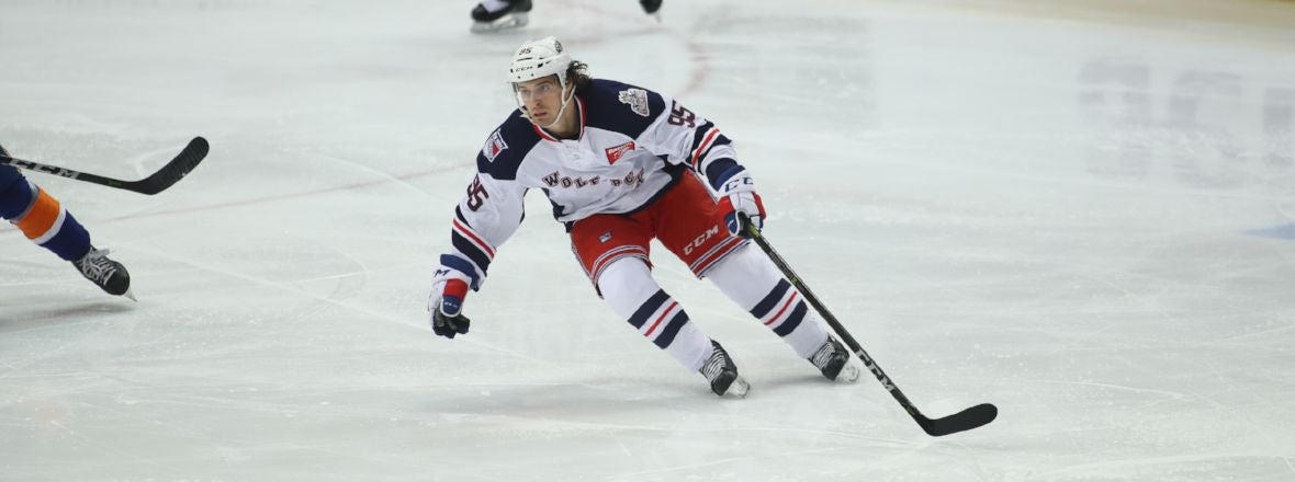 Vinni Lettieri Returns to Wolf Pack