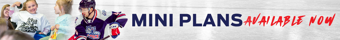 Mini Plans_Skinny Banner.png