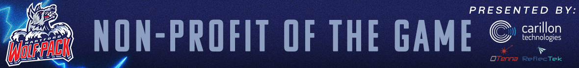 Non-Profit_Skinny Banner.png