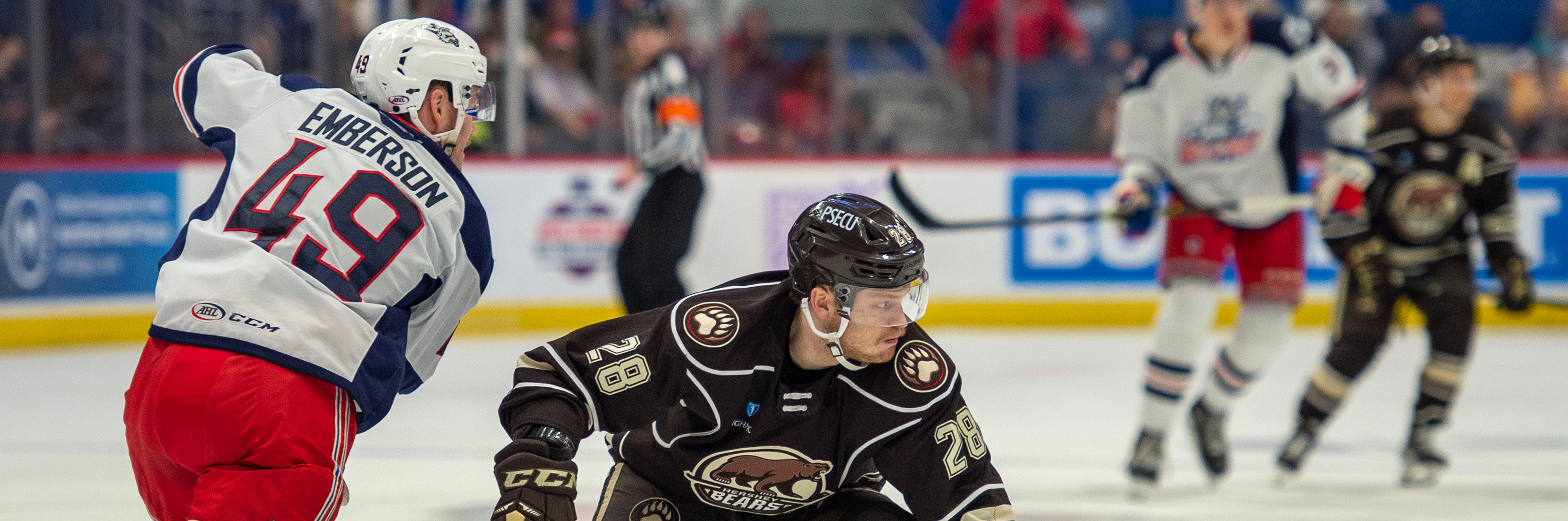 PRE-GAME REPORT WOLF PACK OPEN ATLANTIC DIVISION FINALS IN HERSHEY Hartford Wolf Pack