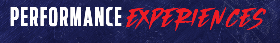 Performance Experiences_908x140.png