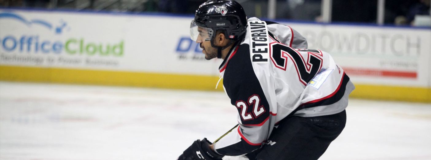 Pack Sign Defenseman Matt Petgrave to PTO