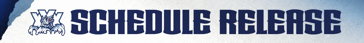 SKINNY BANNER.png
