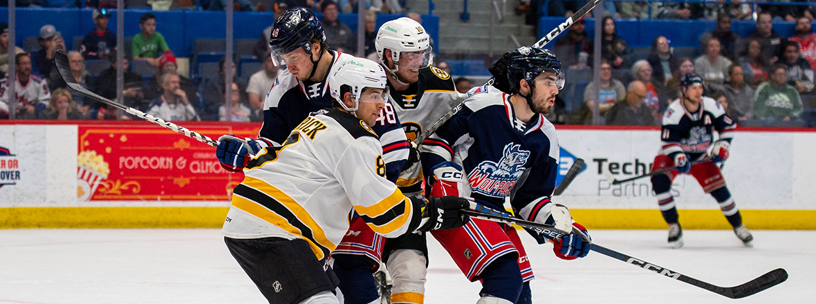 PRE-GAME REPORT: WOLF PACK OPEN HOME-AND-HOME SET WITH BRUINS AT XL CENTER
