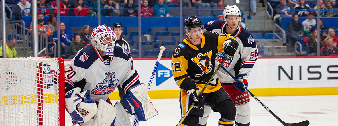 PRE-GAME REPORT: WOLF PACK EYE REVENGE AGAINST PENGUINS IN WILKES-BARRE/SCRANTON