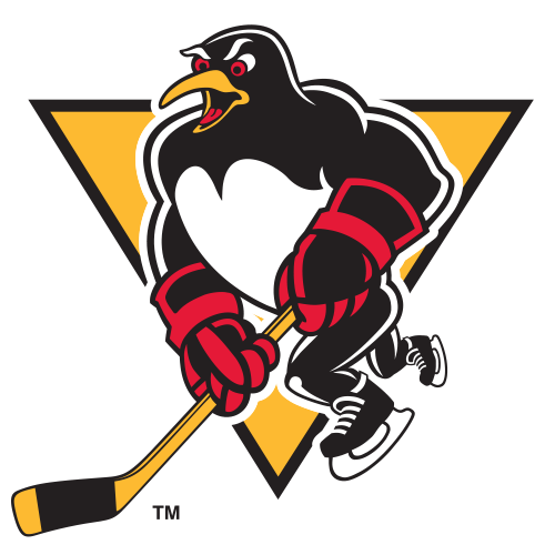 Wilkes-Barre Scranton Penguins