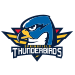 Springfield Thunderbirds - Game at Trinity College